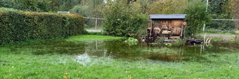 Storm Ciarán kwam ook bij ons langs