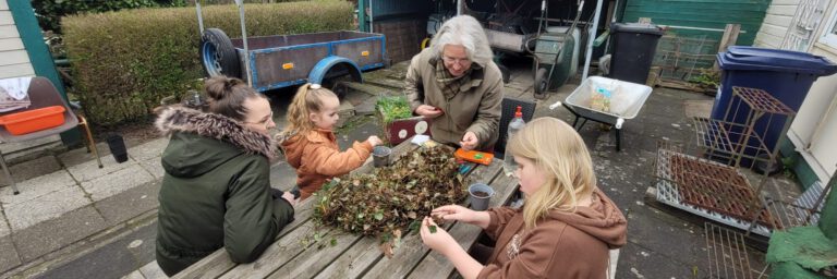 Aardbeiplantjes stekken en zaadjes planten